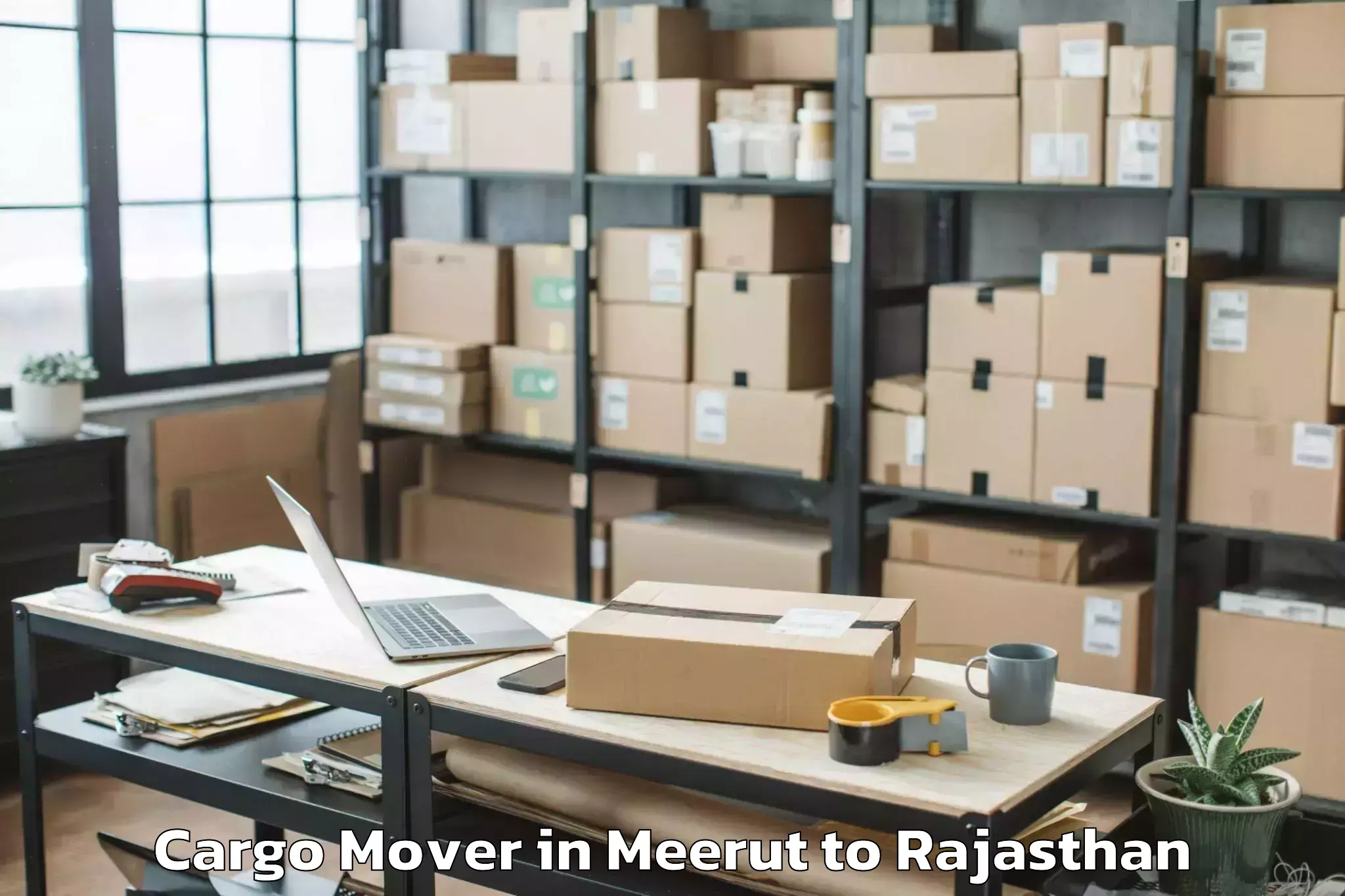 Reliable Meerut to Jecrc University Jaipur Cargo Mover